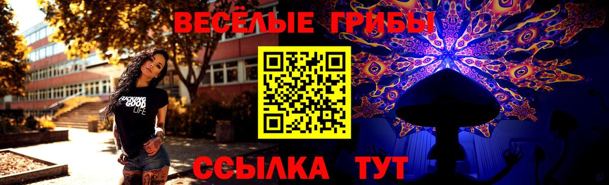 Тихвин  Галлюциногенные грибы Psilocybe  Вход с VPN 